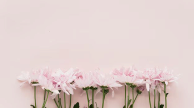 Всі статті &mdash; Фото 1